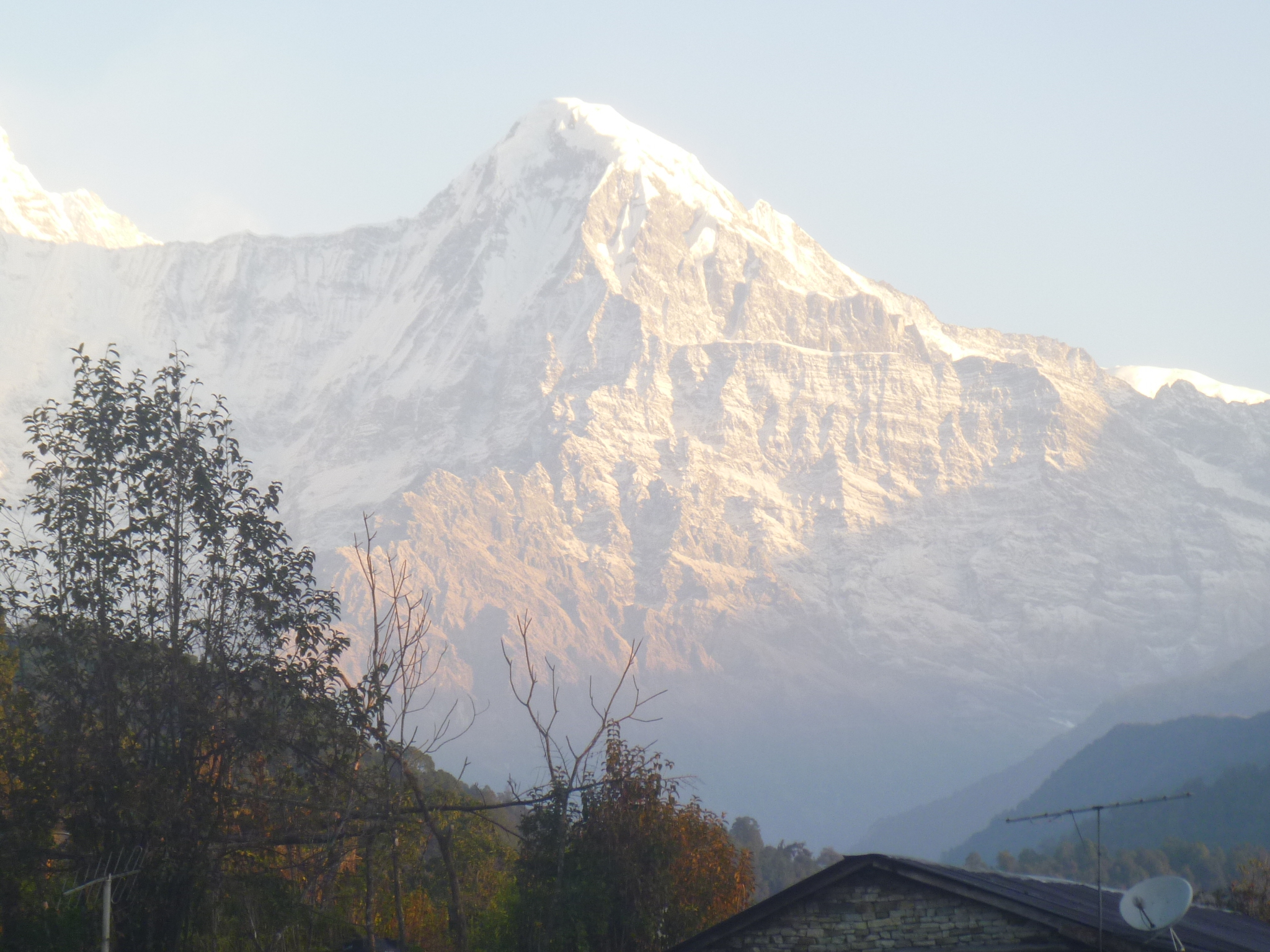 Alternative & Reliable Mardi Himal Trekking Treks